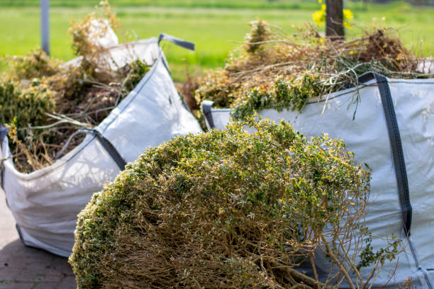 Best Yard Cleanup Services  in Fairfield, IA